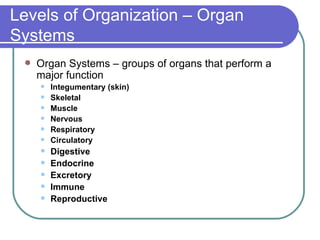 Levels of Organization – Organ Systems Organ Systems – groups of organs that perform a major function Integumentary (skin) Skeletal Muscle Nervous Respiratory Circulatory Digestive Endocrine Excretory Immune Reproductive 