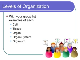 Levels of Organization With your group list examples of each Cell Tissue Organ Organ System Organism 