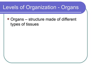 Levels of Organization - Organs Organs – structure made of different types of tissues 