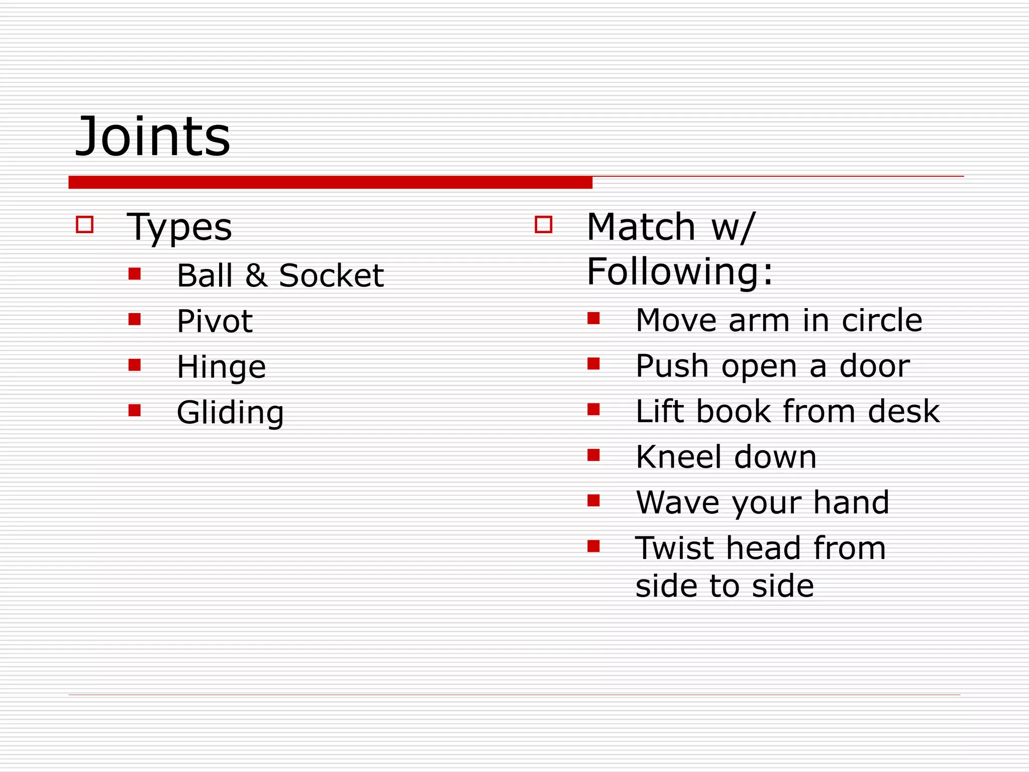 Skeletal System Class Notes