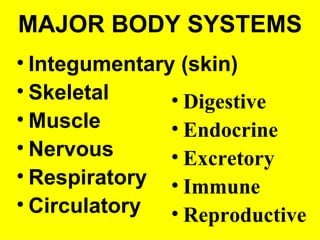 Skeletal System Class Notes