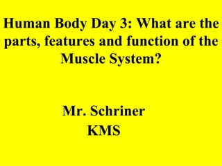 Human Body Day 3: What are the parts, features and function of the Muscle System? ,[object Object],[object Object]