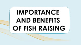 IMPORTANCE
AND BENEFITS
OF FISH RAISING
 
