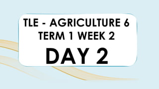 TLE - AGRICULTURE 6
TERM 1 WEEK 2
DAY 2
 