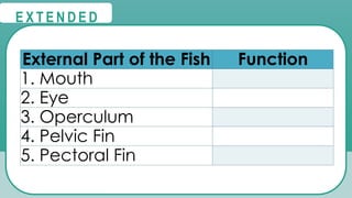 External Part of the Fish Function
1. Mouth
2. Eye
3. Operculum
4. Pelvic Fin
5. Pectoral Fin
@
@
E X T E N D E D
 