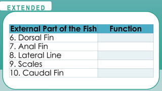 External Part of the Fish Function
6. Dorsal Fin
7. Anal Fin
8. Lateral Line
9. Scales
10. Caudal Fin
@
@
E X T E N D E D
 
