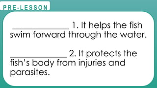@
@
P R E - L E S S O N
_____________ 1. It helps the fish
swim forward through the water.
_____________ 2. It protects the
fish’s body from injuries and
parasites.
 