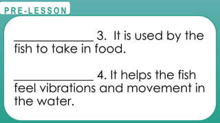 @
@
P R E - L E S S O N
_____________ 3. It is used by the
fish to take in food.
_____________ 4. It helps the fish
feel vibrations and movement in
the water.
 
