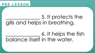 @
@
P R E - L E S S O N
_____________ 5. It protects the
gills and helps in breathing.
_____________ 6. It helps the fish
balance itself in the water.
 