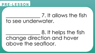 @
@
P R E - L E S S O N
_____________ 7. It allows the fish
to see underwater.
_____________ 8. It helps the fish
change direction and hover
above the seafloor.
 