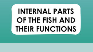 INTERNAL PARTS
OF THE FISH AND
THEIR FUNCTIONS
 