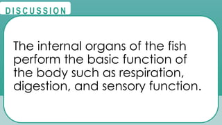 @
@
D I S C U S S I O N
The internal organs of the fish
perform the basic function of
the body such as respiration,
digestion, and sensory function.
 