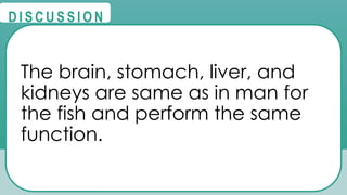 @
@
D I S C U S S I O N
The brain, stomach, liver, and
kidneys are same as in man for
the fish and perform the same
function.
 