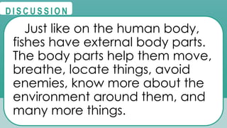 @
@
D I S C U S S I O N
Just like on the human body,
fishes have external body parts.
The body parts help them move,
breathe, locate things, avoid
enemies, know more about the
environment around them, and
many more things.
 