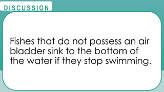 @
@
D I S C U S S I O N
Fishes that do not possess an air
bladder sink to the bottom of
the water if they stop swimming.
 