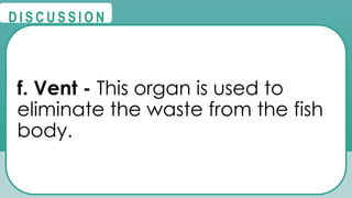 @
@
D I S C U S S I O N
f. Vent - This organ is used to
eliminate the waste from the fish
body.
 