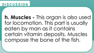 @
@
D I S C U S S I O N
h. Muscles - This organ is also used
for locomotion. This part is usually
eaten by man as it contains
certain vitamin deposits. Muscles
compose the bone of the fish.
 