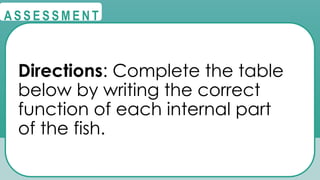 @
@
A S S E S S M E N T
Directions: Complete the table
below by writing the correct
function of each internal part
of the fish.
 