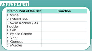 @
@
A S S E S S M E N T
Internal Part of the Fish Function
1. Spine
2. Lateral Line
3. Swim Bladder / Air
Bladder
4. Gills
5. Pyloric Caeca
6. Vent
7. Gonads
8. Muscles
 