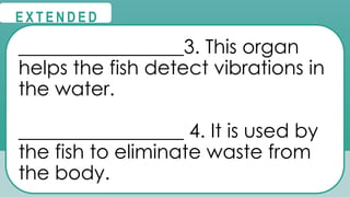 @
@
E X T E N D E D
_________________3. This organ
helps the fish detect vibrations in
the water.
_________________ 4. It is used by
the fish to eliminate waste from
the body.
 