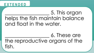 @
@
E X T E N D E D
_________________ 5. This organ
helps the fish maintain balance
and float in the water.
_________________ 6. These are
the reproductive organs of the
fish.
 