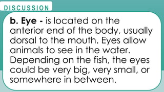 @
@
D I S C U S S I O N
b. Eye - is located on the
anterior end of the body, usually
dorsal to the mouth. Eyes allow
animals to see in the water.
Depending on the fish, the eyes
could be very big, very small, or
somewhere in between.
 