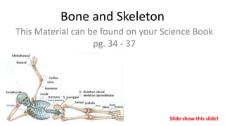 Bone and Skeleton
This Material can be found on your Science Book
pg. 34 - 37
Slide show this slide!
 