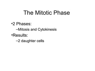 The Mitotic Phase
•2 Phases:
–Mitosis and Cytokinesis
•Results:
–2 daughter cells
 