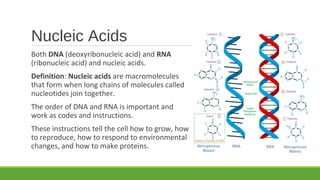 Nucleic Acids
Both DNA (deoxyribonucleic acid) and RNA
(ribonucleic acid) and nucleic acids.
Definition: Nucleic acids are macromolecules
that form when long chains of molecules called
nucleotides join together.
The order of DNA and RNA is important and
work as codes and instructions.
These instructions tell the cell how to grow, how
to reproduce, how to respond to environmental
changes, and how to make proteins.
 
