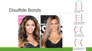 Disulfide Bonds
 
