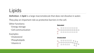 Lipids
Definition: A lipid is a large macromolecule that does not dissolve in water.
They play an important role as protective barriers in the cell.
Other functions:
◦Energy storage
◦Cell communication
Examples:
◦Cholesterol
◦Phospholipids
◦Vitamin A
 