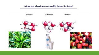 G7 ch2.1   cells and life