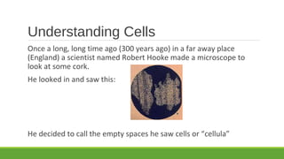 Understanding Cells
Once a long, long time ago (300 years ago) in a far away place
(England) a scientist named Robert Hooke made a microscope to
look at some cork.
He looked in and saw this:
He decided to call the empty spaces he saw cells or “cellula”
 