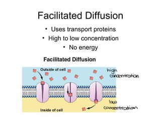 Facilitated Diffusion
• Uses transport proteins
• High to low concentration
• No energy
 