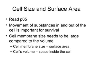 Cell Size and Surface Area
• Read p65
• Movement of substances in and out of the
cell is important for survival
• Cell membrane size needs to be large
compared to the volume
– Cell membrane size = surface area
– Cell’s volume = space inside the cell
 