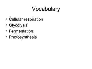 Vocabulary
• Cellular respiration
• Glycolysis
• Fermentation
• Photosynthesis
 