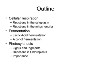 Outline
• Cellular respiration
– Reactions in the cytoplasm
– Reactions in the mitochondria
• Fermentation
– Lactic-Acid Fermentation
– Alcohol Fermentation
• Photosynthesis
– Lights and Pigments
– Reactions is Chloroplasts
– Importance
 