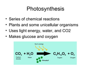 Photosynthesis
• Series of chemical reactions
• Plants and some unicellular organisms
• Uses light energy, water, and CO2
• Makes glucose and oxygen
 