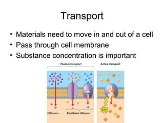 Transport
• Materials need to move in and out of a cell
• Pass through cell membrane
• Substance concentration is important
 