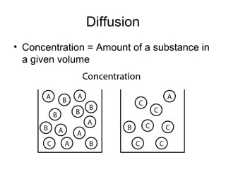 Diffusion
• Concentration = Amount of a substance in
a given volume
 