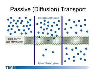 Passive (Diffusion) Transport
 