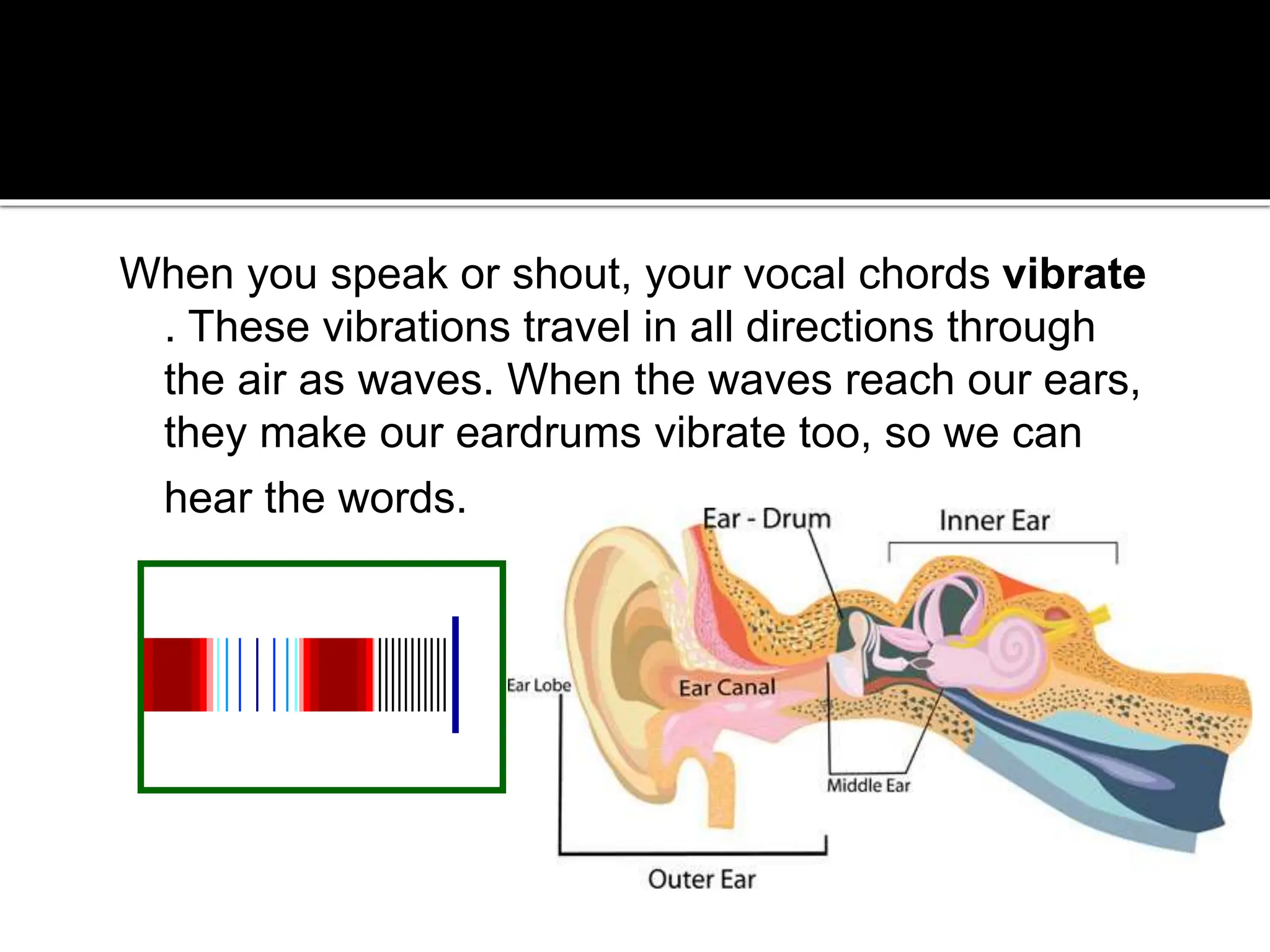 When you speak or shout, your vocal chords vibrate
. These vibrations travel in all directions through
the air as waves. When the waves reach our ears,
they make our eardrums vibrate too, so we can
hear the words.
 