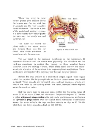 When you were in your
  earlier grades you studied about
  the human ear. Our ear and that
  of animals are the very sensitive
  sound detectors. The ear is a part
  of the peripheral auditory system.
  It is divided into three major parts:
  the outer ear, the middle ear and
  the inner ear.

        The outer ear called the
  pinna collects the sound waves
  and focuses them into the ear                     Figure 4: The human ear
  canal. This canal transmits the
  sound waves to the eardrum.

         The ear canal is the eardrum membrane or the tympanum. It
  separates the outer and the middle ears physically. Air vibrations set the
  eardrum membrane in motion that causes the three smallest bones
  (hammer, anvil and stirrup) to move. These three bones convert the small-
  amplitude vibration of the eardrum into large-amplitude oscillations. These
  oscillations are transferred to the inner ear through the oval window.

        Behind the oval window is a snail-shell shaped liquid –filled organ
  called the cochlea. The large-amplitude oscillations create waves that travel
  in liquid. These sounds are converted into electrical impulses, which are
  sent to the brain by the auditory nerve. The brain, interprets these signals
  as words, music or noise.

         Did you know that we can only sense within the frequency range of
  about 20 Hz to about 20000 Hz? Vibrational frequencies beyond 20 000 Hz
  is called ultrasonic frequencies while extremely low frequencies are known
  as infrasonic frequencies. Our ear cannot detect ultrasonic or infrasonic
  waves. But some animals like dogs can hear sounds as high as 50 000 Hz
  while bats can detect sounds as high as 100 000 Hz.




Grade 7 Science: Learner’s Material (Second Part)                             43
  Grade 7 Science: Energy In Motion                                           125
 