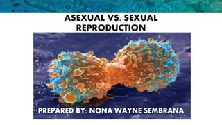 ASEXUAL VS. SEXUAL
REPRODUCTION
1
PREPARED BY: NONA WAYNE SEMBRANA
 