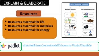 Understanding Natural Resources: Types, Uses, and Conservation ...