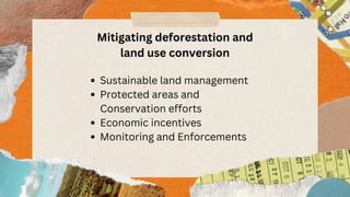 Deforestation Project.pdf Gg-DESTATION-AND-LAND-USE-CONVERSION.pdf
