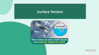 © Nexus Consulting
FUN WITH FUNDAS
Surface Tension
 