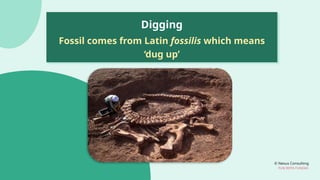 © Nexus Consulting
FUN WITH FUNDAS
Digging
Fossil comes from Latin fossilis which means
‘dug up’
 