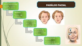 La paresia afecta al cerebro y al sistema nervioso central
SÍNTOMAS:
Problemas de memoria.
Problemas de lenguaje.
Disminuc...