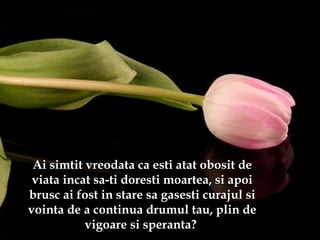 Ai simtit vreodata ca esti atat obosit deAi simtit vreodata ca esti atat obosit de
viata incat sa-ti doresti moartea, si apoiviata incat sa-ti doresti moartea, si apoi
brusc ai fost in stare sa gasesti curajul sibrusc ai fost in stare sa gasesti curajul si
vointa de a continua drumul tau, plin devointa de a continua drumul tau, plin de
vigoare si speranta?vigoare si speranta?
 